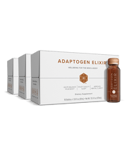 Load image into Gallery viewer, Adaptogen Elixir