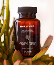 Load image into Gallery viewer, Harmonia™